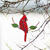 Iron Hummingbird Pendant Decorations AJEW-WH0261-87-6