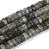 Natural Labradorite Beads Strands G-N357-14A-07-2