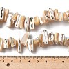Dyed Natural Trochus Shell Beads Strands X-SSHEL-C013-09K-4