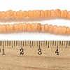 Dyed Natural Freshwater Shell Beads Strands X1-BSHE-G039-07A-4