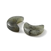 Natural Labradorite Beads X-G-NH0001-01D-2