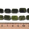 Natural Canadian Jade Beads Strands G-C098-A37-01-5