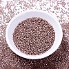 MIYUKI Delica Beads SEED-J020-DB1879-2