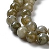 Natural Labradorite Beads Strands G-G065-A01-01-4