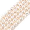 Natural Cultured Freshwater Pearl Beads Strands PEAR-I007-01D-01A-2