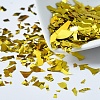 Plastic Candy Sequins/Paillette Chip DIY-I019-01C-1