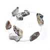 Natural Agate Beads Strands G-I213-14-2