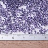 MIYUKI Delica Beads SEED-JP0008-DB0250-5