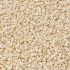 MIYUKI Delica Beads SEED-X0054-DB0204-3
