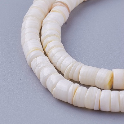 Natural Shell Beads Strands X-SSHEL-E571-49I-1