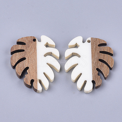 Resin & Walnut Wood Pendants X-RESI-S358-57A-1