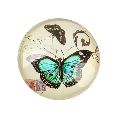 Butterfly Printed Glass Half Round/Dome Cabochons GGLA-N004-12mm-C-1