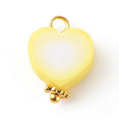 Polymer Clay Charms PALLOY-JF00678-1