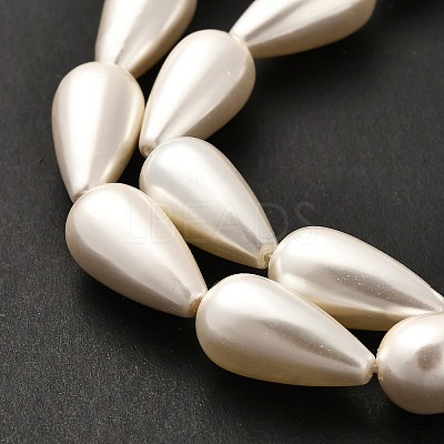 Electroplate Shell Pearl Beads Strands BSHE-G010-10x20mm-01-1