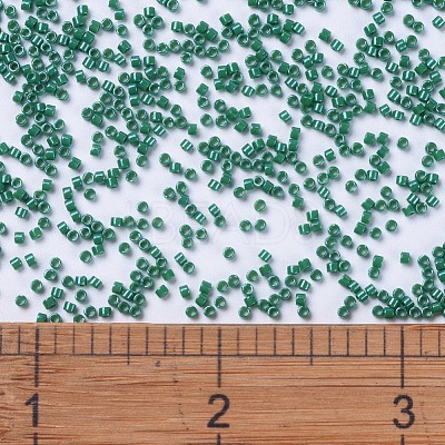 MIYUKI Delica Beads SEED-X0054-DB0656-1