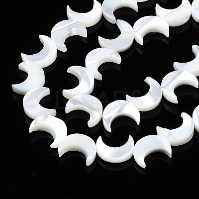 Natural Trochid Shell/Trochus Shell Beads Strands SSHEL-S266-025B-01-1