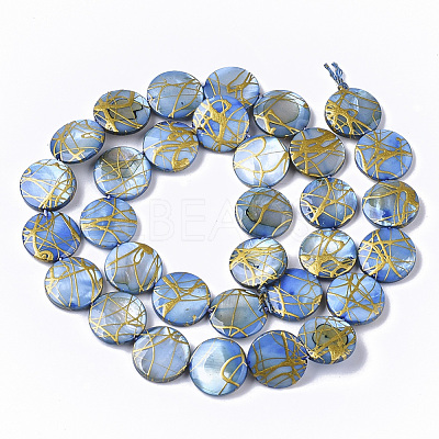 Drawbench Freshwater Shell Beads Strands SHEL-T014-012-1