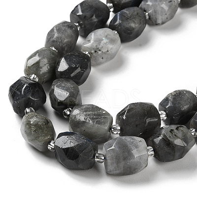 Natural Labradorite Beads Strands G-C105-A02-01-1