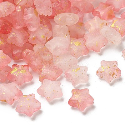 Frosted Acrylic Charms OACR-M023-04H-1
