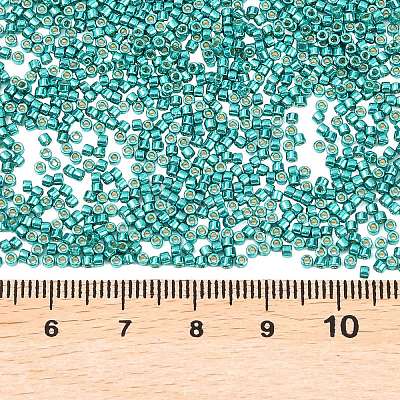 MIYUKI Delica Beads SEED-X0054-DB2506-1