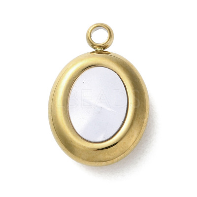 304 Stainless Steel Acrylic Pendants STAS-M091-02E-G-1