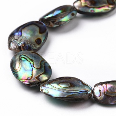 Natural Abalone Shell/Paua Shell Beads SSHEL-E379-1-1