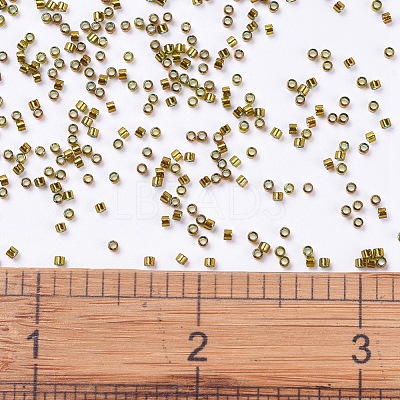 MIYUKI Delica Beads SEED-X0054-DB0604-1
