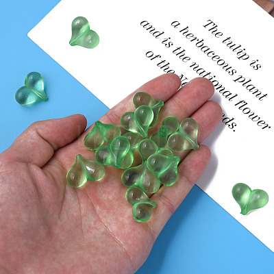 Transparent Acrylic Beads MACR-S373-70-B02-1