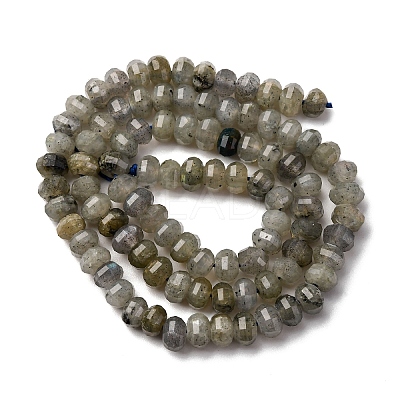 Natural Labradorite Beads Strands G-P587-D13-01-1