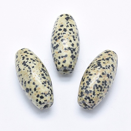 Natural Dalmatian Jasper Beads G-P384-T23-1