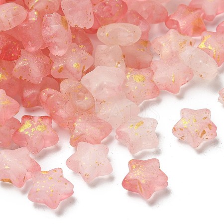 Frosted Acrylic Charms OACR-M023-04H-1