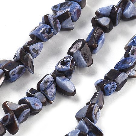 Dyed Natural Trochus Shell Beads Strands BSHE-Z006-01C-1