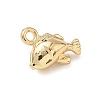 Alloy Charms FIND-Z101-04G-03-2