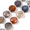 Natural Botswana Agate Beads Strands G-C116-A65-01-2