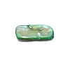 Natural Shell Beads BSHE-WH0001-06-3