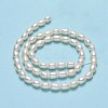 Natural Cultured Freshwater Pearl Beads Strands PEAR-J006-20B-01-3