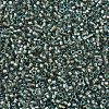 MIYUKI Delica Beads X-SEED-J020-DB2379-3