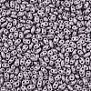 Baking Paint Glass Seed Beads SEED-T006-03Z-2