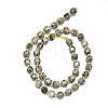 Natural Syenite Beads Strand G-I376-D17-01-2