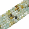  2 Strands Natural Flower Amazonite Beads Strands G-NB0004-59-7