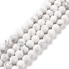 Natural Howlite Beads Strands G-E571-29B-1