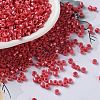 Baking Paint Glass Seed Beads X-SEED-S042-15A-06-1