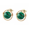 Synthetic Malachite Round Beads Stud Earrings for Girl Women EJEW-JE04666-03-2