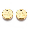316 Surgical Stainless Steel Charms LS-STAS-S116-418H-G-2