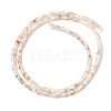 Natural Freshwater Shell Beads Strands SHEL-K006-72A-2