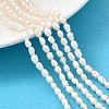 Natural Cultured Freshwater Pearl Beads Strands PEAR-I007-01L-01A-1