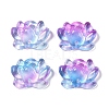 Baking Paint Glass Beads X-GLAA-S202-13A-1