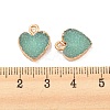 Resin with Golden Zinc Alloy Charms RESI-CJC0009-04D-3