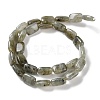 Natural Labradorite Beads Strands G-K357-D16-01-3