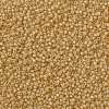 MIYUKI Round Rocailles Beads X-SEED-G008-RR0677-3